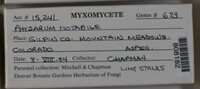 Image Associated With the Occurence